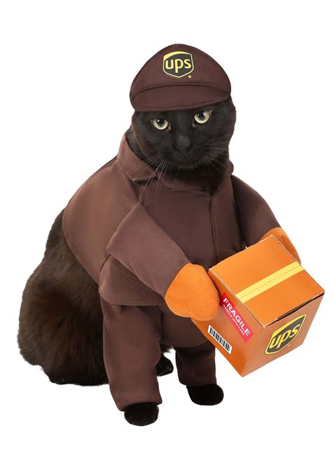 UPS Dog Costume