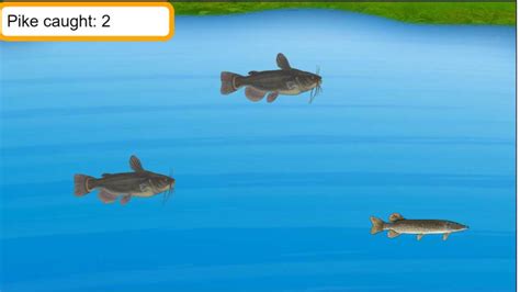 Fishing and Statistics | Growing Math