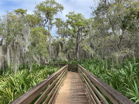 5 Best Places for Everglades Camping in the National Park