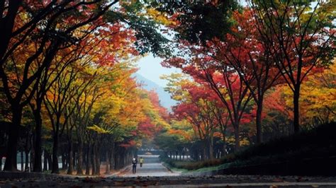 The Best Attractions in Incheon – A Day Trip Itinerary – Korea Tours by ...