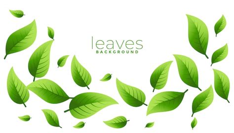 Free Vector | Floating or falling green leaves background design with ...