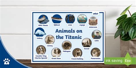 Animals on the Titanic - Word Mat - KS2 - Dogs - Cat - Pets