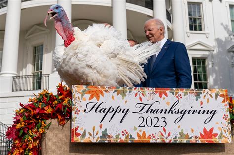 Biden pardons National Thanksgiving turkeys while marking his 81st ...