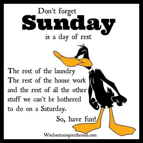 Happy Sunday | Happy sunday quotes, Sunday quotes funny, Funny sunday memes