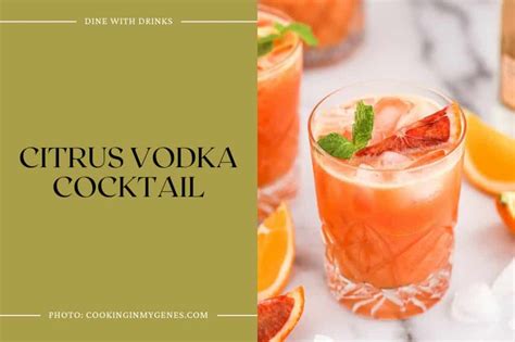 35 Citrus Vodka Cocktails to Sip and Savor All Summer Long | DineWithDrinks