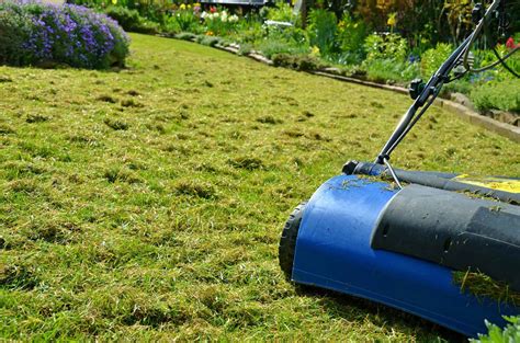 Lawn Aeration | Lawn Aeration Service Near Me