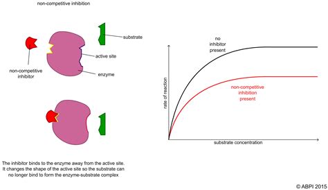 Enzyme inhibition