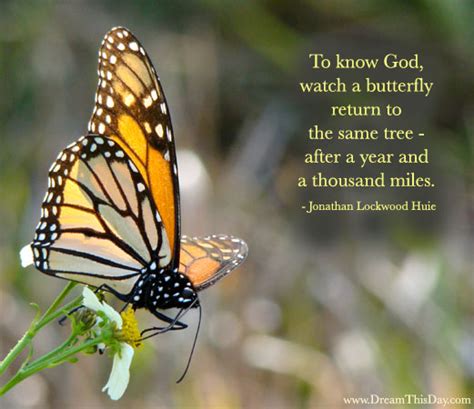 Butterfly Quotes and Sayings - Quotes about Butterfly