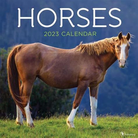 Calendar 2023 Horse – Get Calendar 2023 Update