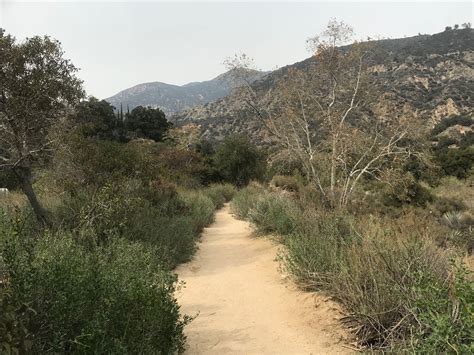 Eaton Canyon Falls: Pasadena's Infamous Waterfall Hike