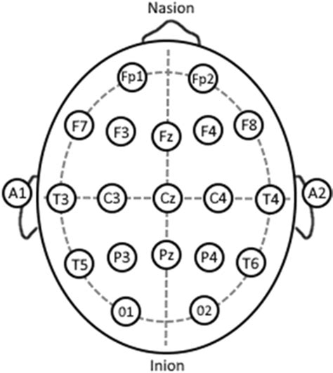 10–20 EEG Placement System. Each circle on the head represents EEG ...