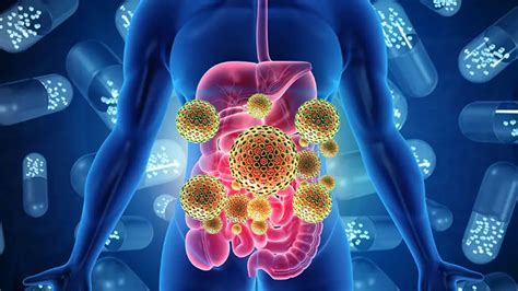 How Probiotic Supplement is Essential for the Intestine