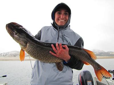 Fishing Guides in Colorado