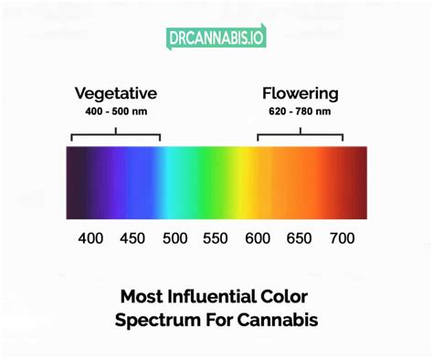 The Best Light For Growing Weed: 2020 Review | DrCannabis