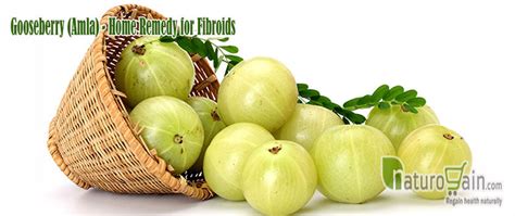 9 Simple and Best Home Remedies for Fibroids that Work [Naturally]