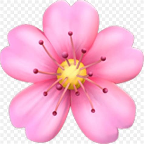 Emoji Pink Flowers Cherry Blossom Sticker, PNG, 1024x1024px, Emoji, Blossom, Cherry, Cherry ...