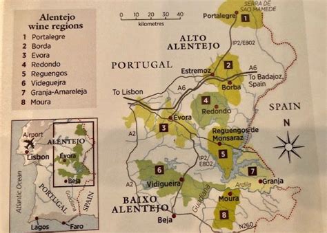 A Deep Dive into the Wines of Alentejo: Diving into the Uncharted Wines of Alentejo Wines of ...