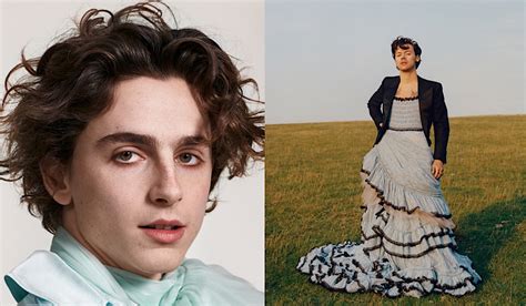 The Rise of Teen Idols Timothée Chalamet & Harry Styles: Destroying Toxic Masculinity ...