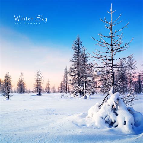 Winter Sky - Single by Heavenly Garden | Spotify