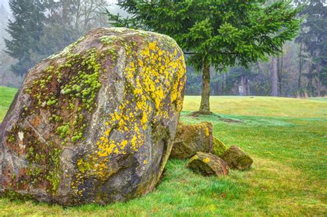 Photo of the Day - Mossy Rock by David Phipps