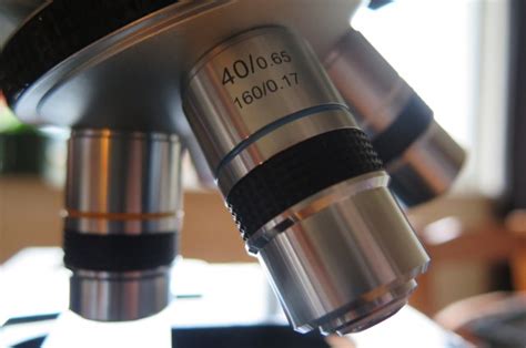 What are the Types of Objective Lenses on a Microscope?