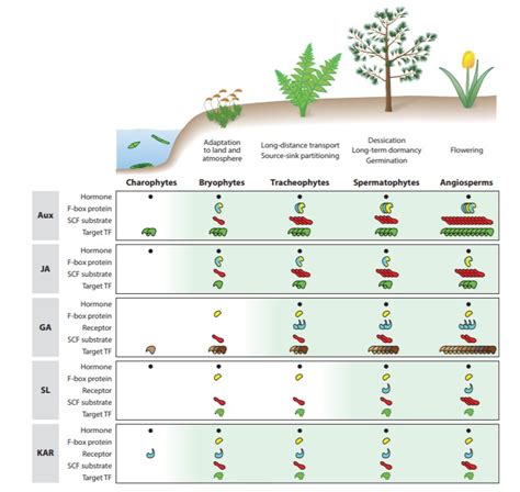 Review: Evolution of plant hormone response pathways ($) (Annu. Rev. Plant Biol.) | Plantae