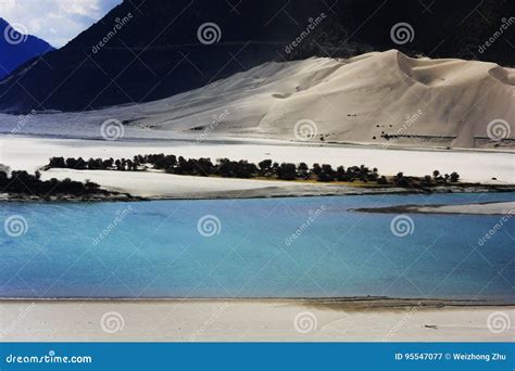 Landscape of the Yarlung Tsangpo Grand Canyon Stock Image - Image of ...