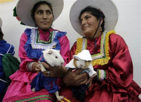 Anorak News | Peru’s Guinea Pig Festival In Photos: Playing With Your Food