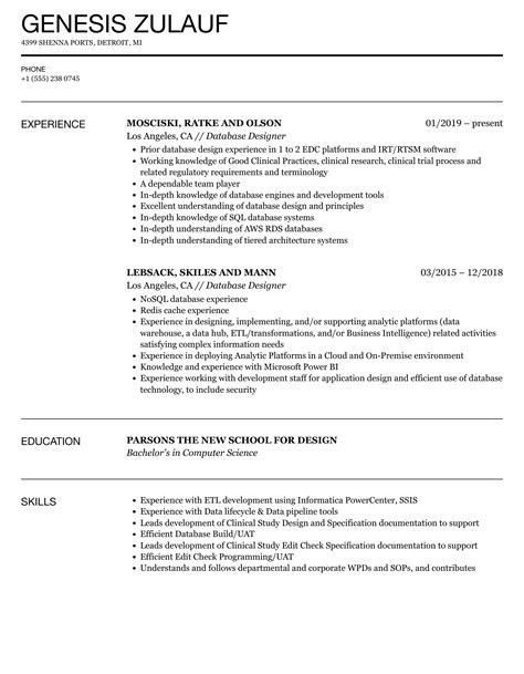 Database Designer Resume Samples | Velvet Jobs