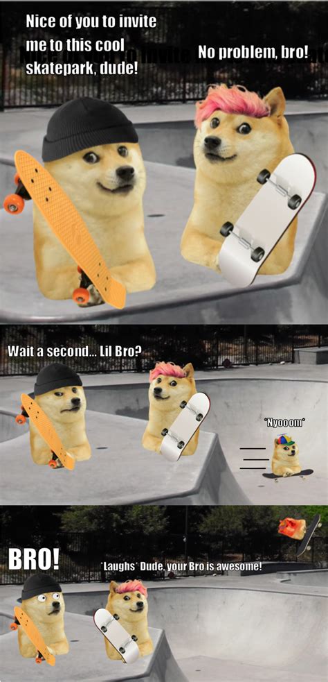 Lil Bro is awesome : r/dogelore