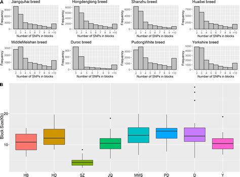 Frontiers | Haplotype Block Analysis Reveals Candidate Genes and QTLs for Meat Quality and ...