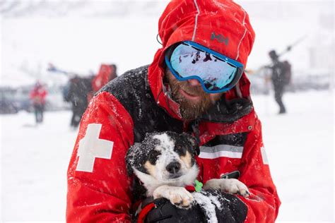 Avalanche rescue dog school in Utah prepares pups to save lives