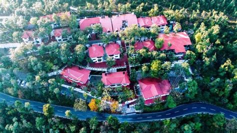 30 Resorts in Mussoorie (2024) | Updated Deals, Latest Reviews, Photos