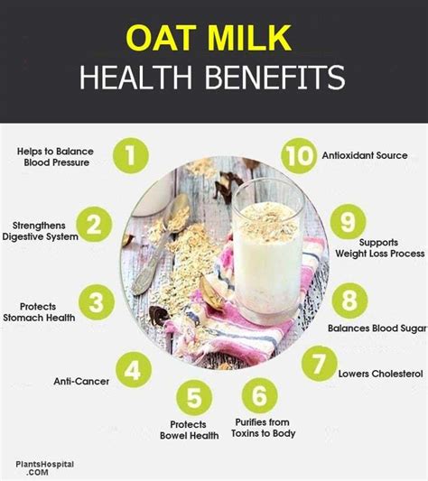 Oat Milk: Health Benefits, Uses, Side Effects And Recommendation