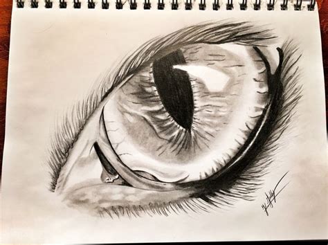 Eagle Eye Drawing, art, sketches Instagram: @just_in_artist | Realistic eye drawing, Eagle art ...