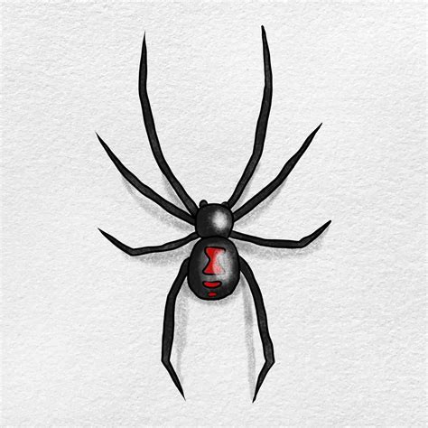 Spider Drawing — How To Draw A Black Widow Spider Step By, 60% OFF