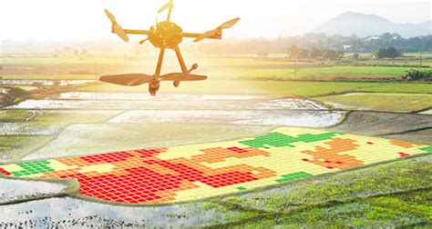 Drone-Based Remote Sensing, and Machine Learning Technologies for Enhanced Crop Health Monitoring