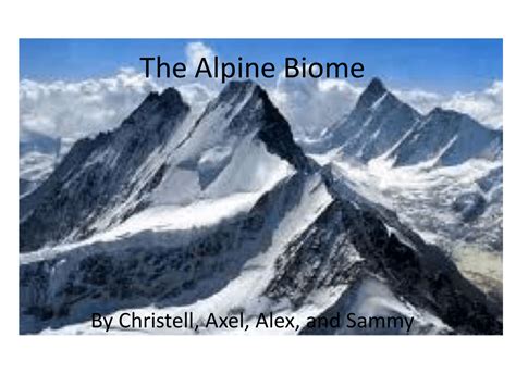 Alpine Biome