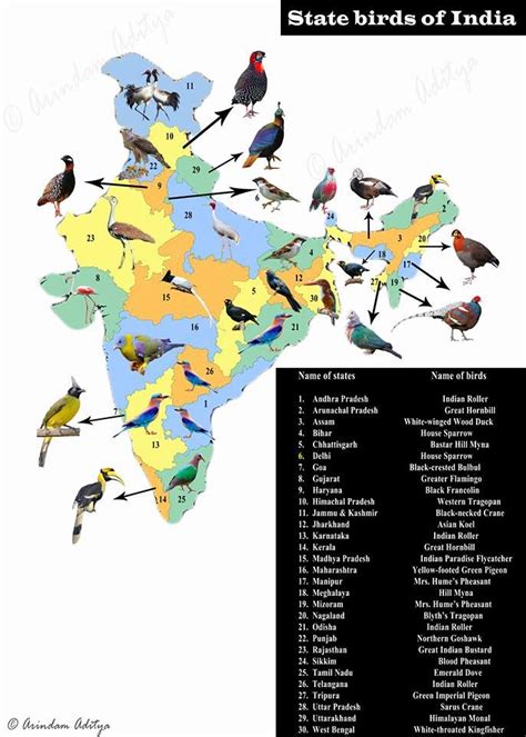 State Birds of India PC - Arindam Aditya #india #nature #bharat # ...