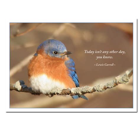 Birthday Bird Quotes. QuotesGram