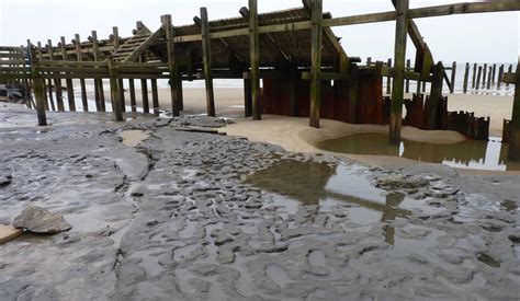 Once Upon a Time in Happisburgh – Storytelling – Pathways to Ancient Britain