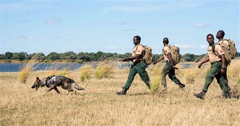 Conservation Lower Zambezi - Wildlife protection and community support in Zambia's Lower Zambezi ...