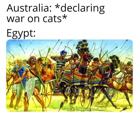 It's a meme about ancient Egypt : r/HistoryMemes