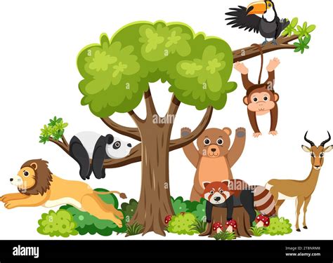 Wild animals living together happily in a secluded forest Stock Vector Image & Art - Alamy