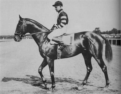 Triple Crown Winner- War Admiral 1937 | Equestrian - historic ...