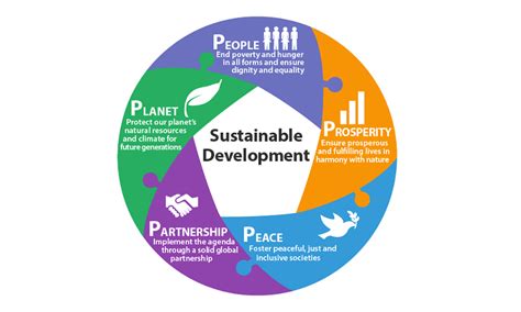 Sustainable Development and its Challenges in Developing Countries – IYNF – International Young ...