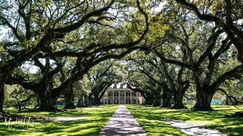 Oak Alley Plantation: A picturesque estate in plantation country | HI ...