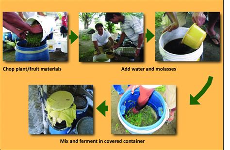 Preparation of Fermented Plant and Fruit Juice (FPJ & FFJ) | Download Scientific Diagram