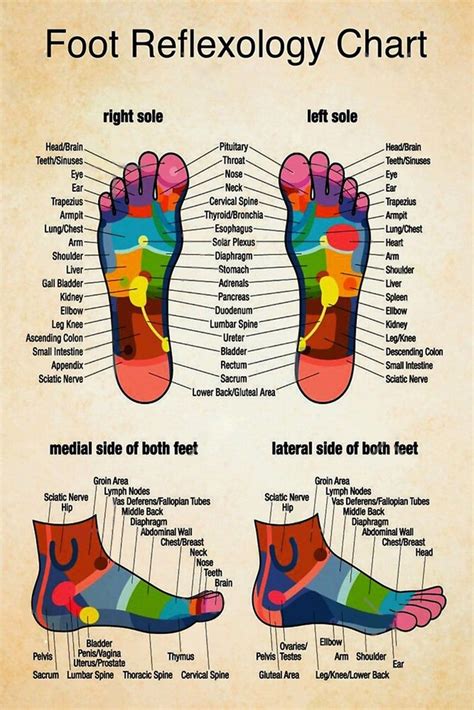 Reflexology Foot Chart, Acupressure Treatment, Acupressure Points, Health And Fitness Articles ...