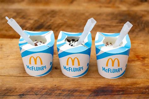 McDonald’s to axe popular Biscoff McFlurry after just…